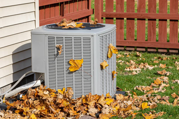 Best HVAC air duct cleaning  in Rome City, IN